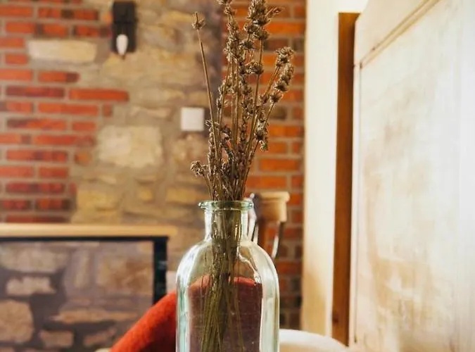 Guest house Casa Laureles Hinojedo