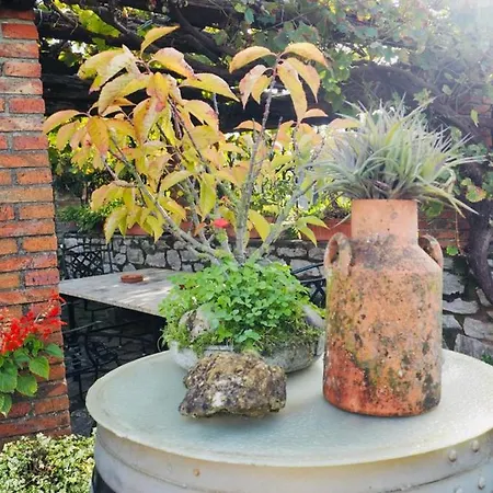 Casa Laureles